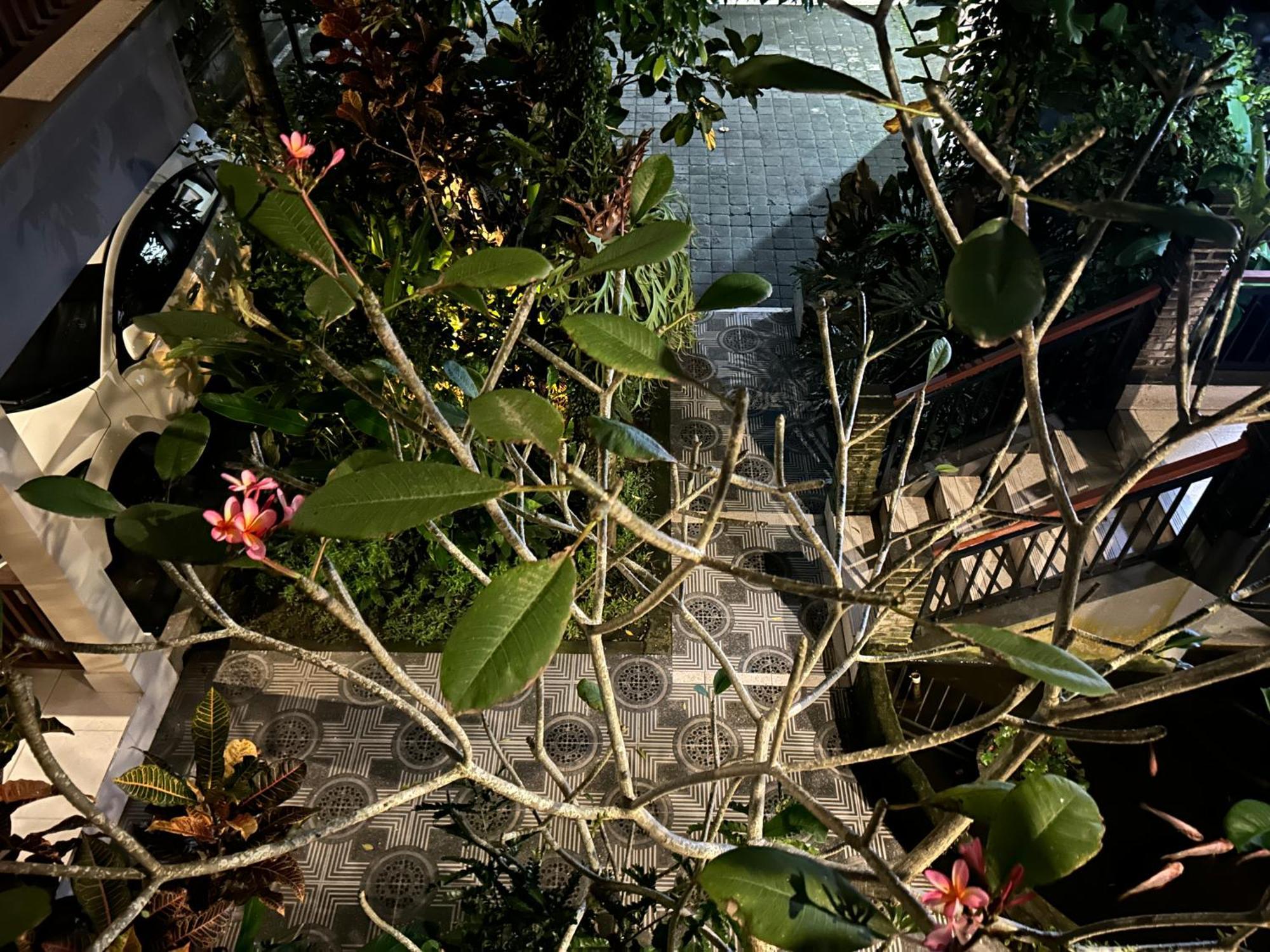 Balimas Guest House Ubud Eksteriør billede